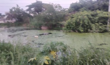 சின்னத் தடாகம், பெரிய தடாகம், நஞ்சுண்டாபுரம், பன்னிமடை, அசோகாபுரம் மற்றும் குருடம்பாளையம் ஊராட்சிகள் முள் புதர்கள் தூர்வாரப் படவில்லை.