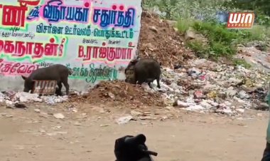 மேட்டுப்பாளையத்தில் ஆறாவது வார்டு சுகாதாரத்தில் அலட்சியம்!